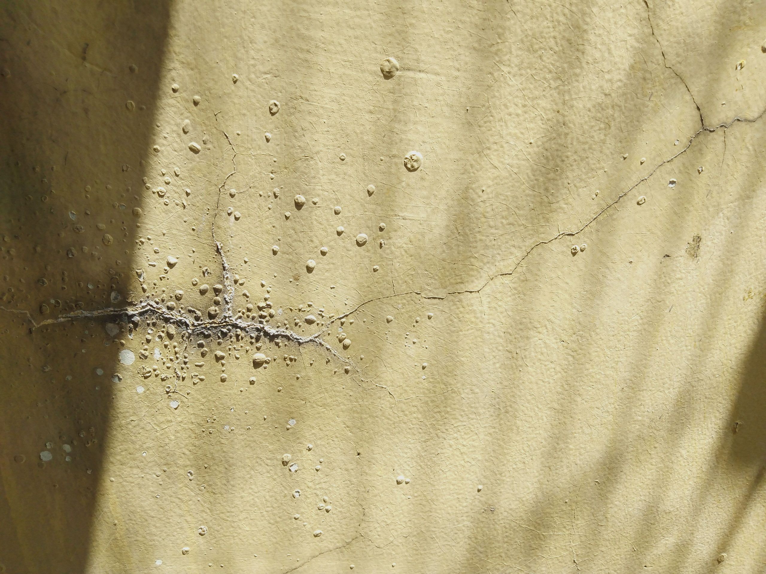 Gros plan fissures mur texturé decay