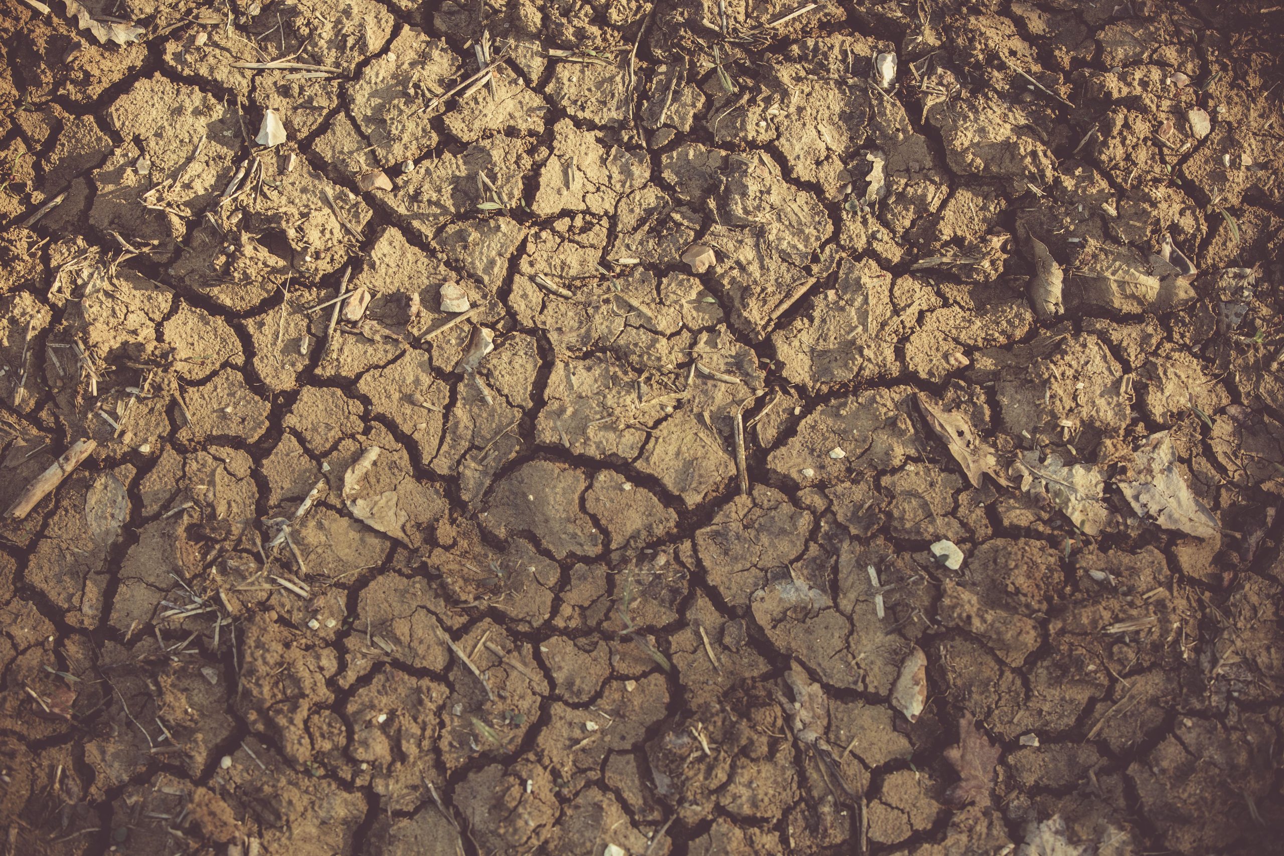 Textures et motifs détaillés du sol sec et aride